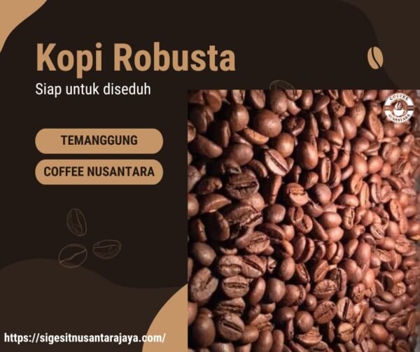 Robusta Temanggung (Lereng Gunung Sumbing - Kemasan 1Kg)